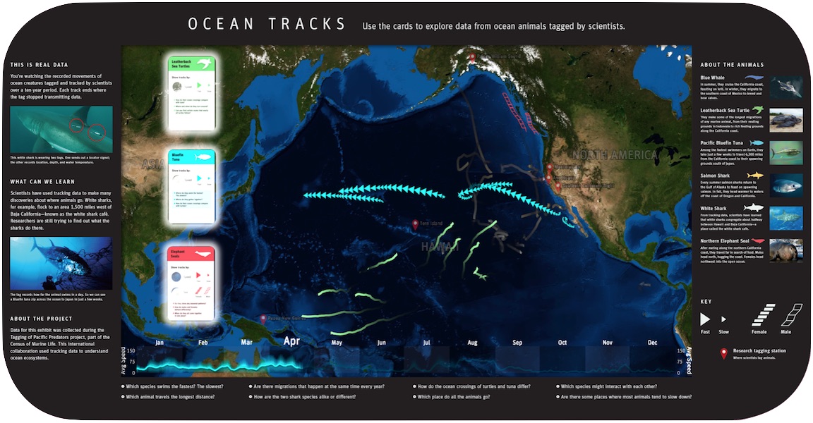 Fostering Comparisons: Designing an Interactive Exhibit that Visualizes Marine Animal Behaviors