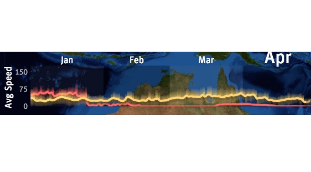 Migration speed between species