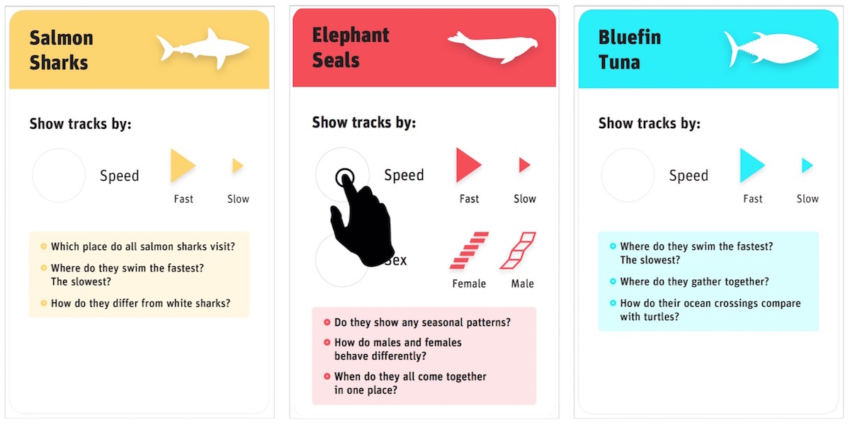 Physical species cards